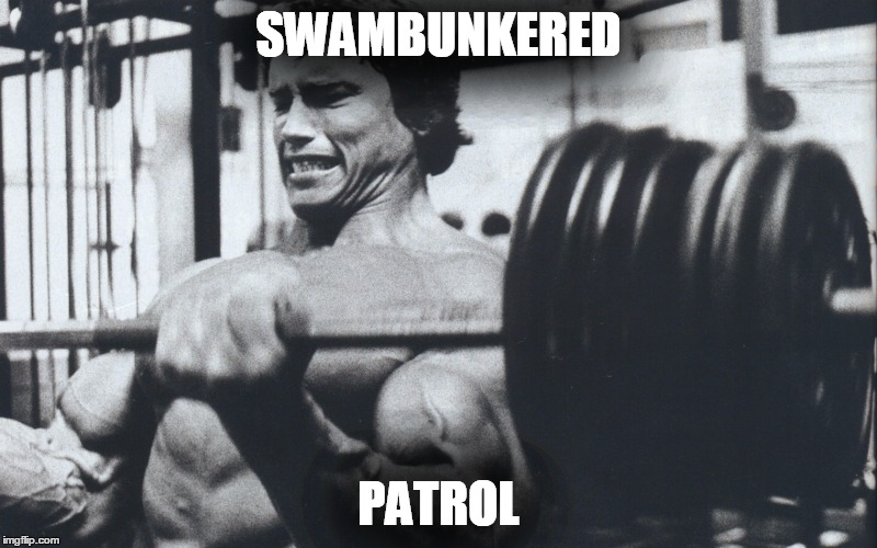 Arnold swambunkered
